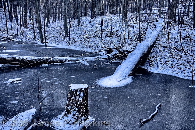 slides/CX011209_HDR04_0016_17_18_19_20.jpg bob newhart cars firebird hawkins HDRI Jim Hawkins liberty trip newhart Winter Pond, Tatum Park, NJ